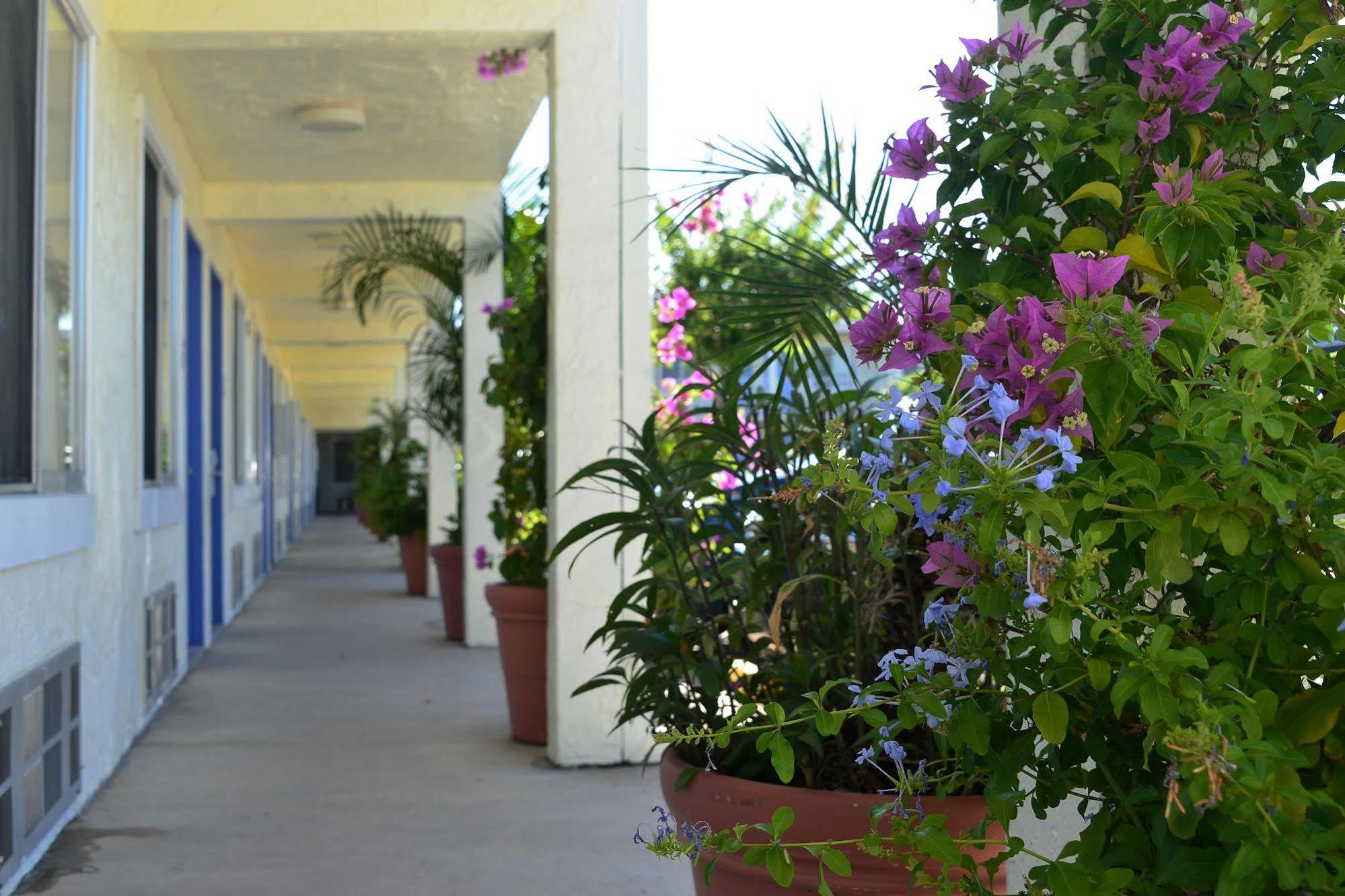 Americas Best Value Inn Bradenton-Sarasota Luaran gambar